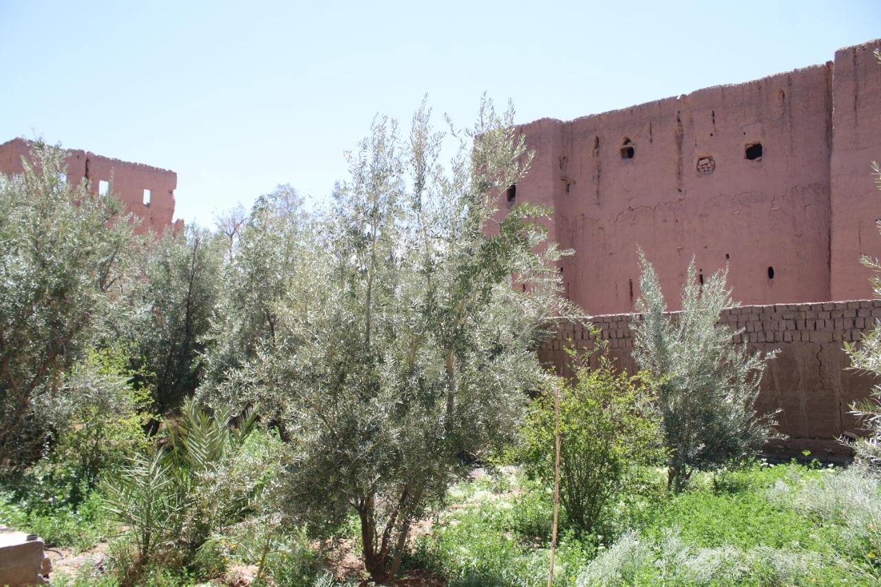 Gîte Ait lmaalam chez Ahmed Skoura Kültér fotó